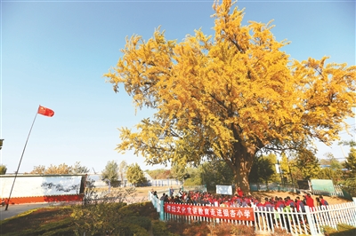 壽光：勾勒“文明實(shí)踐版圖”，延伸“幸福生活半徑”